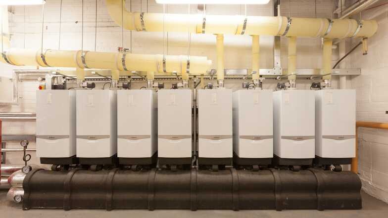 Cascaded commercial boilers in a plant room