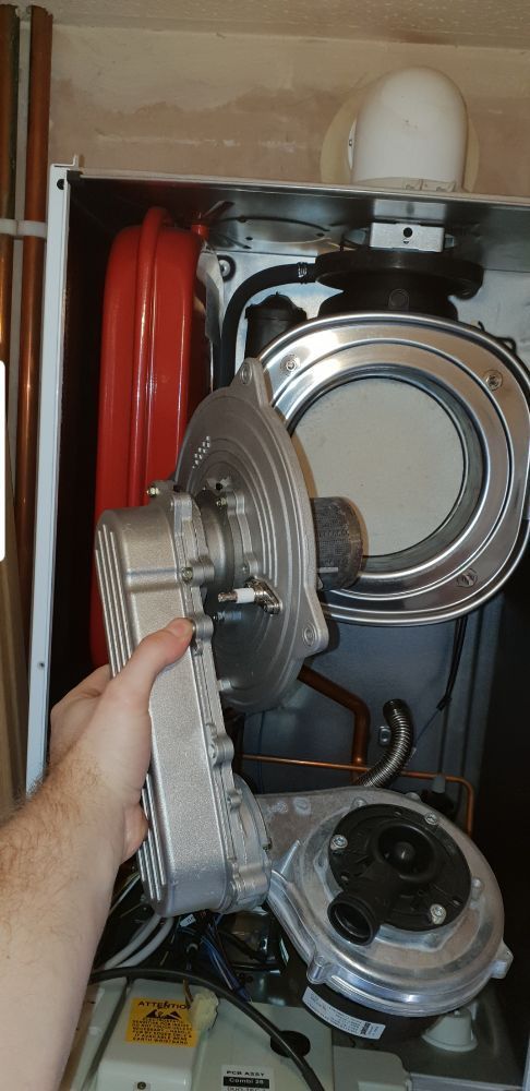 Burner removed by hand showing the ignition electrode